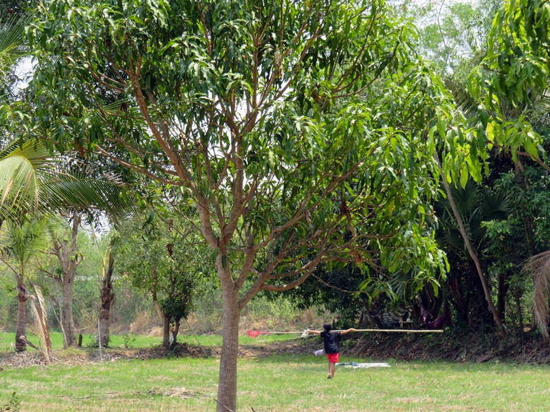 bdbec_Parkland3